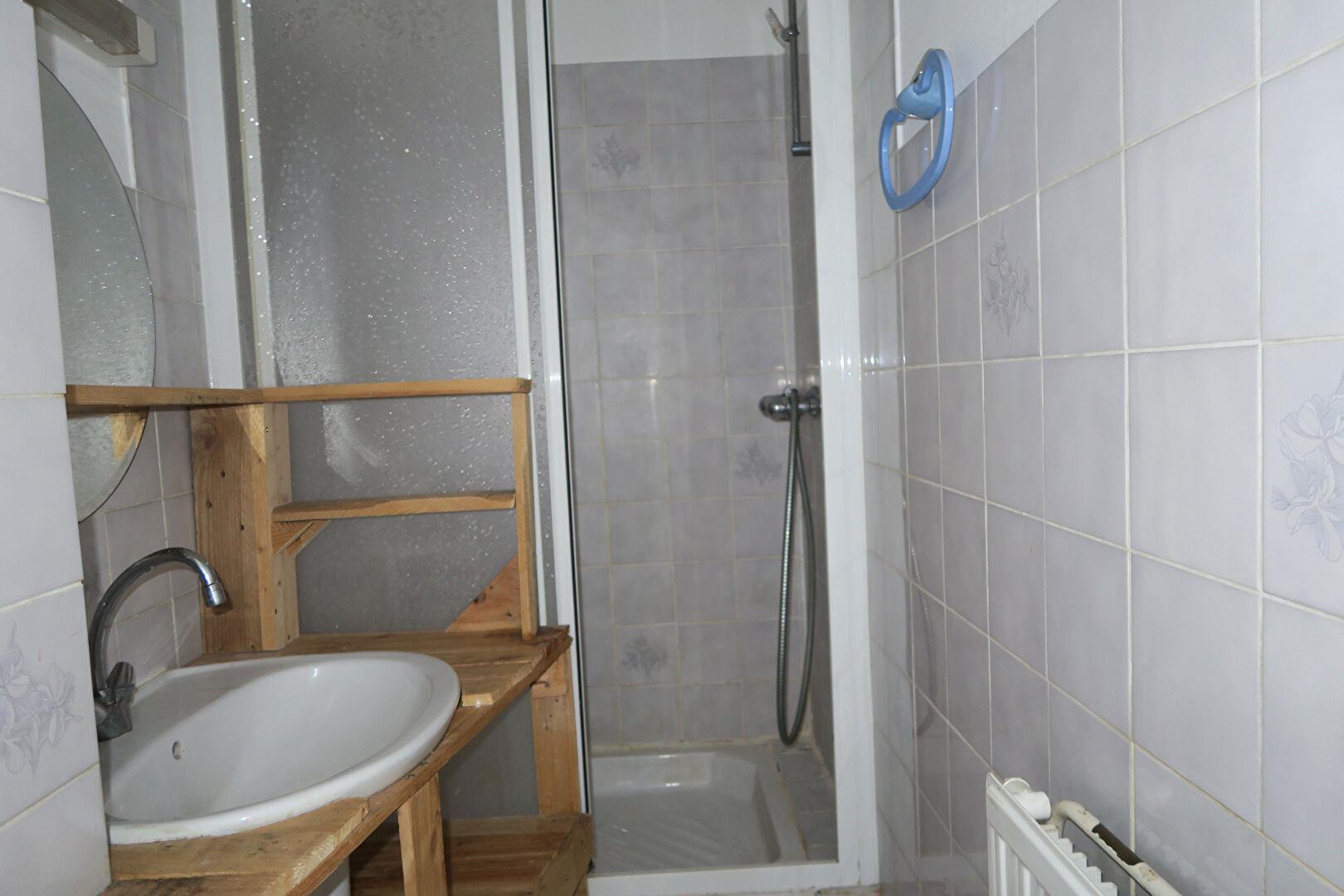 Appartement à vendre, 48m², Saint-Etienne