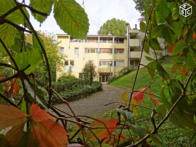 Appartement à louer, 23m², Saint-Etienne