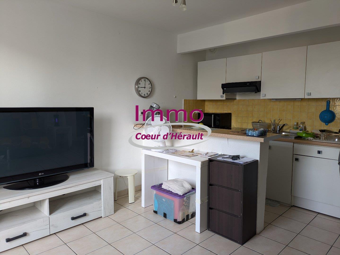 Appartement à louer, 39m², Saint-André-de-Sangonis