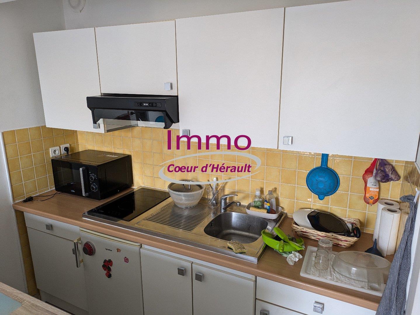 Appartement à louer, 39m², Saint-André-de-Sangonis