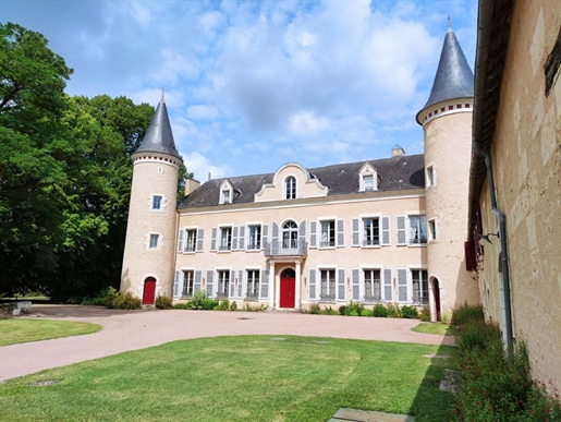 Château Martizay 27 Kamer(s) 980 m2