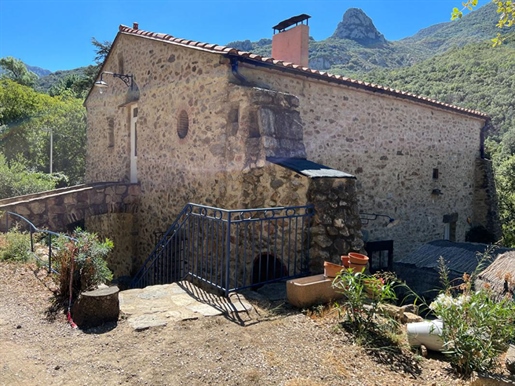 Sæt med restaurerede catalanske gårde med udsigt over Albères