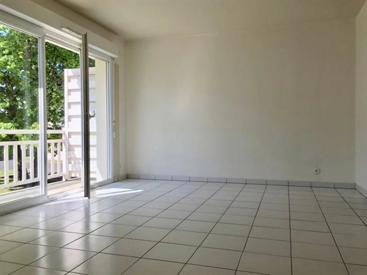 Compra: Apartamento (33185)