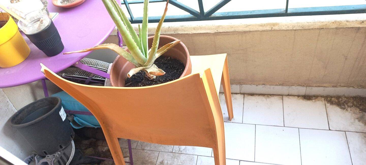 Appartement à vendre, 22m², Montpellier