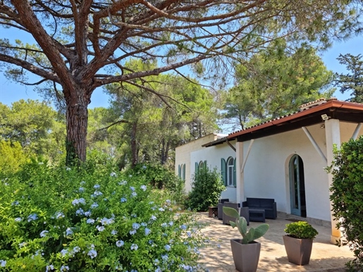 Villa met 3 slaapkamers, zwembad, bijgebouw en tuin