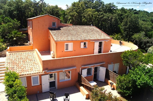 Ensemble immobilier de 10 logements - A Proximite De Porto-Vecchio 20137 - Corse Du Sud - France