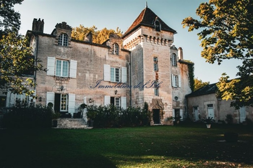 Chateau XVè Aux Portes De Perigueux
