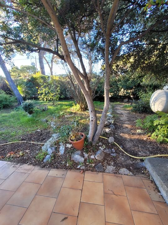 Maison à louer, 33m², Sausset-les-Pins