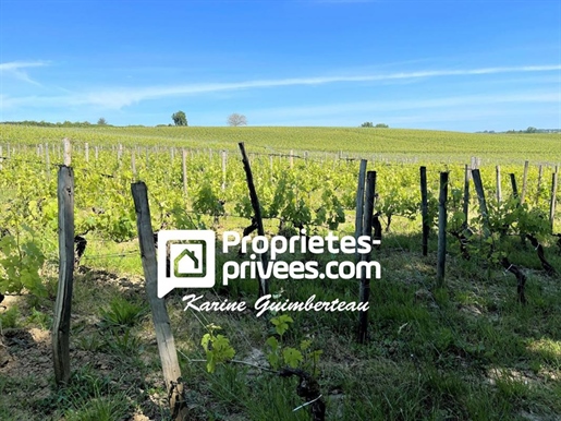 St Emilion - Propriété viticole complète