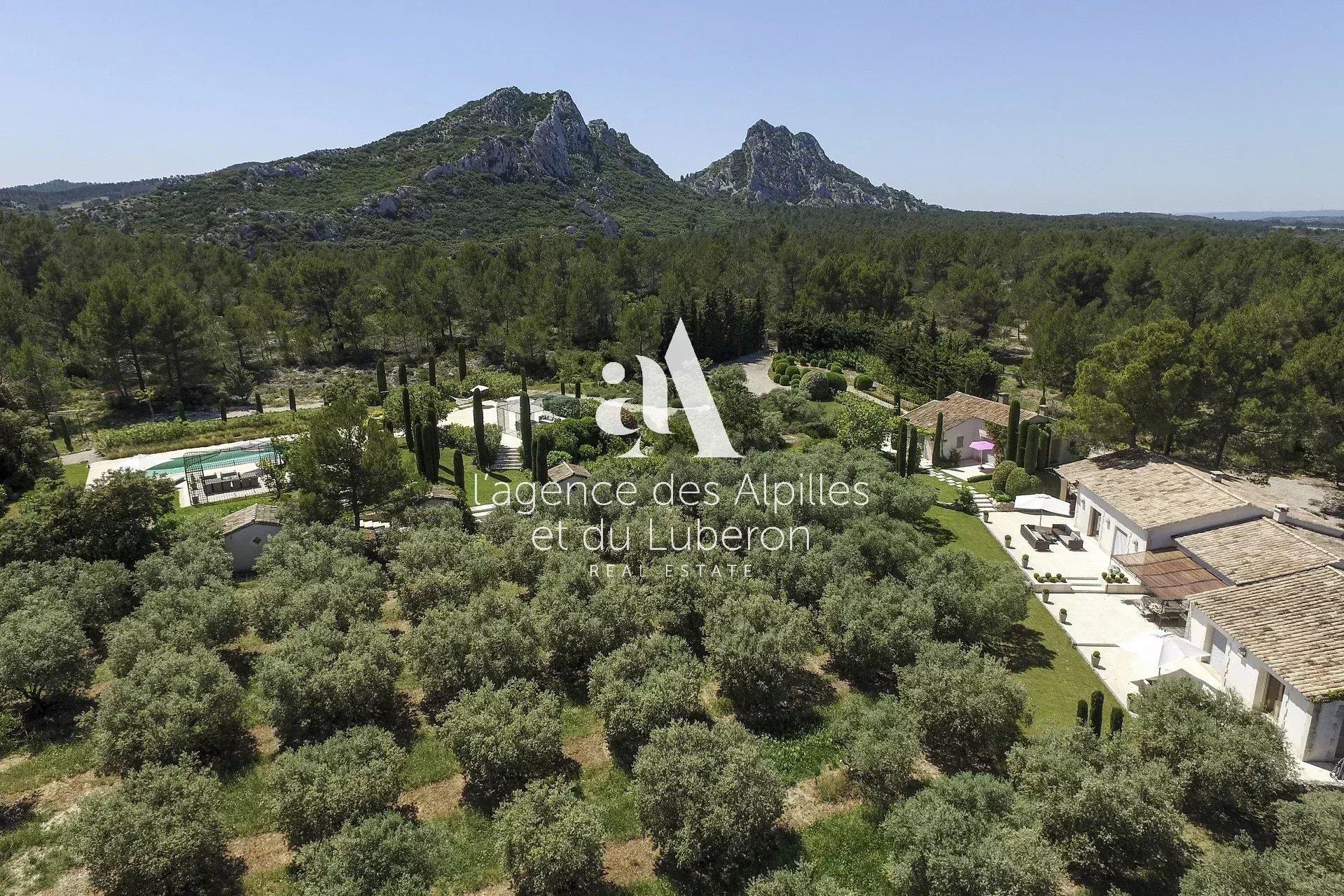 Eygalieres - Contemporary Mas
