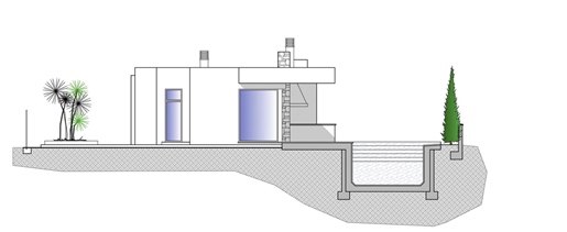 Kauf: Haus (03710)