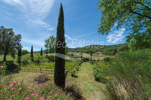 La Garde Freinet: Authentic And Fully Renovated Property On 5 Hectares With Own Vineyard