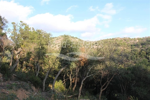 Building Plot With Great Views - Close To The Centre & Beaches