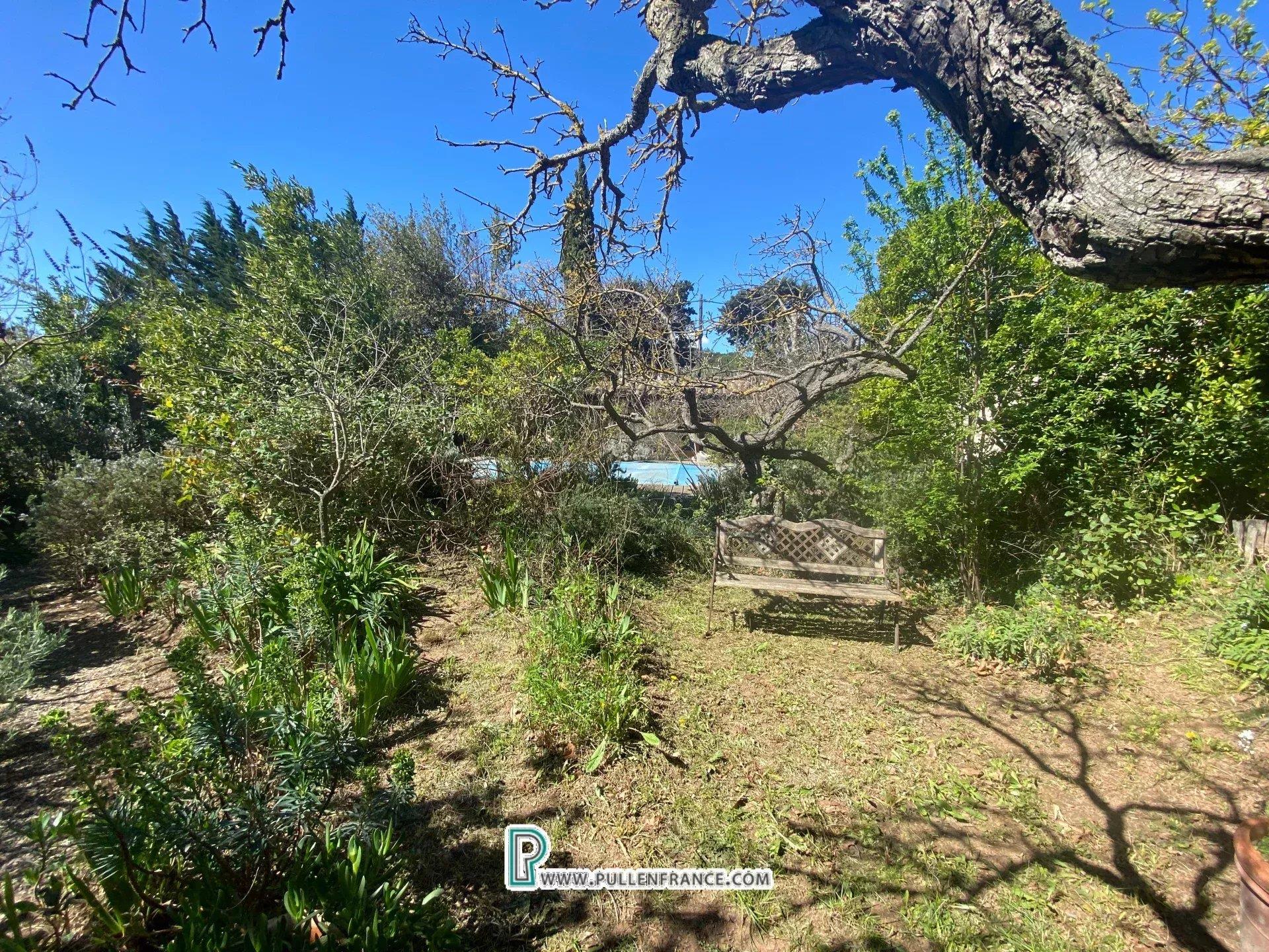 Grand village house with non-attached garden & pool in Corbieres village