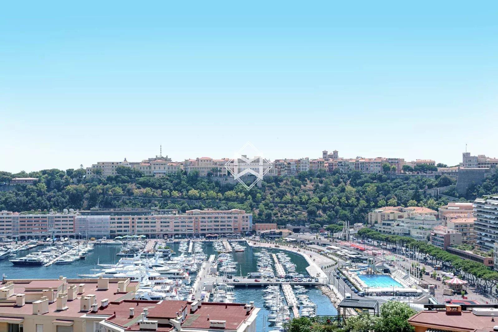 Overlooking the port of Monaco