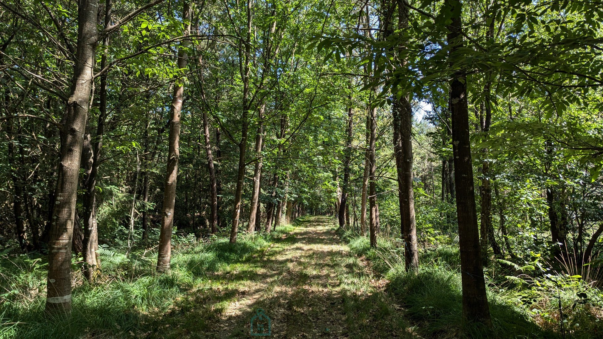Maison à vendre, 130m², Camors