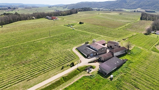 Aoc Cahors wine estate and house for sale