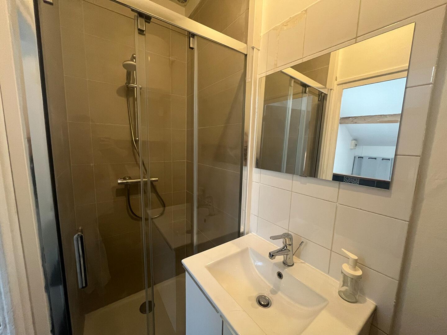 Appartement à louer, 21m², Saint-Etienne