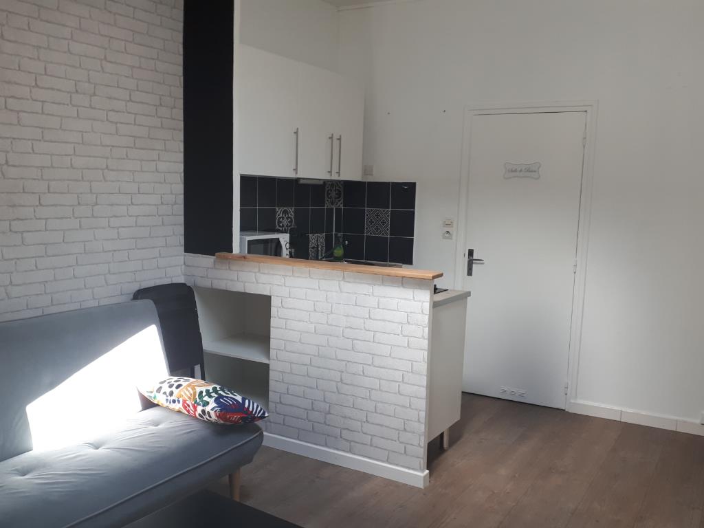 Appartement à louer, 21m², Saint-Etienne
