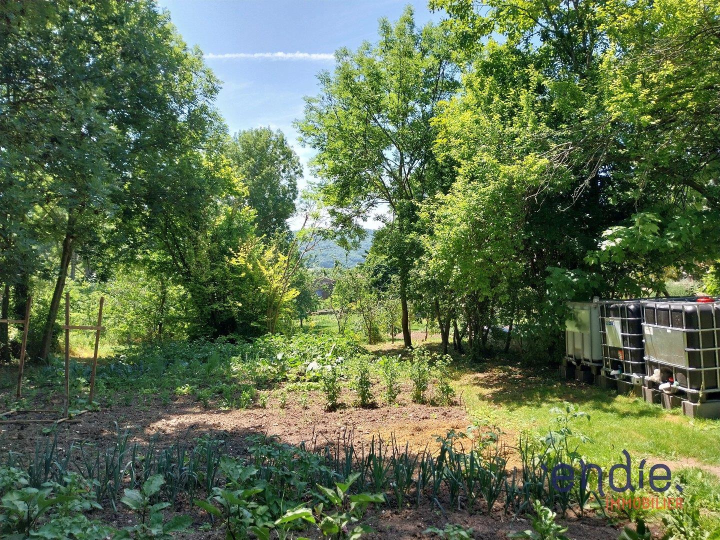 Terrain
