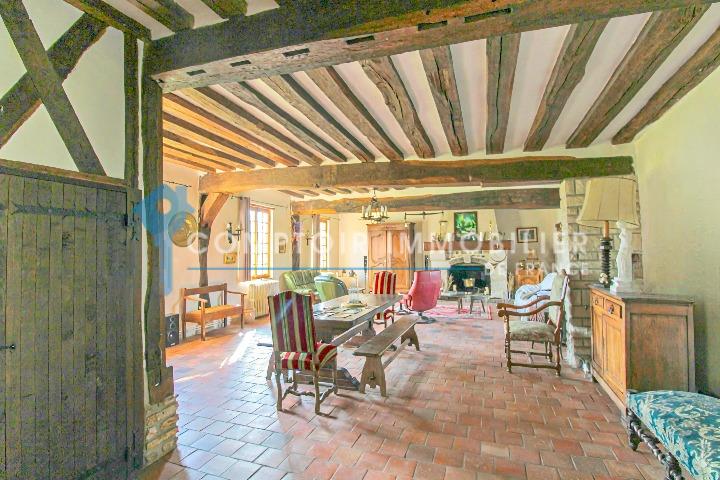 For sale Dpt Eure (27) near Pacy sur Eure charming property 390 m2 on park of 16390 m2