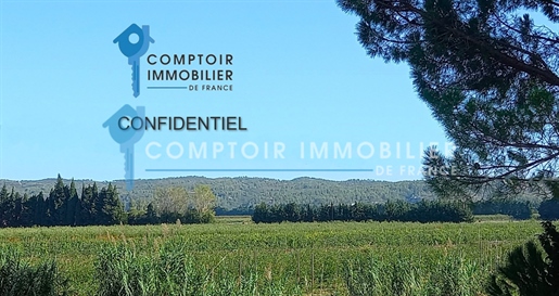 Image d'annonce