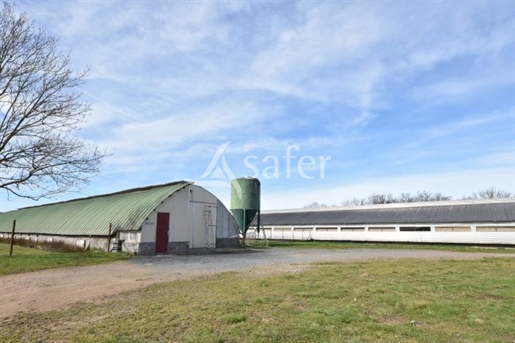 Poultry farm property with house