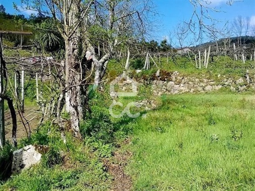 Rustic Land for sale in Luzim - Penafiel