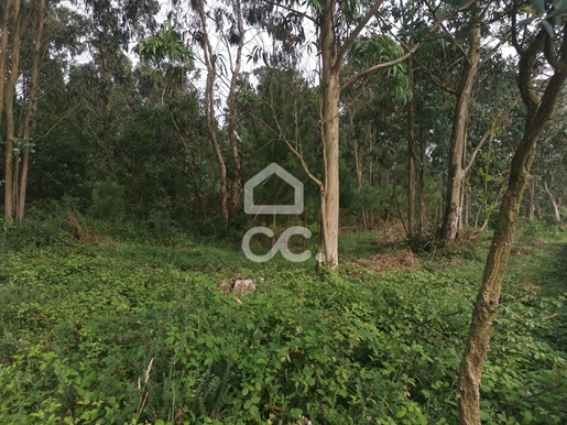 Rustic Land for sale in Labruge, Vila do Conde