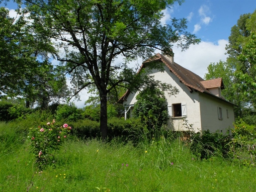 Maison traditionnelle avec piscine et grand jardin arboré