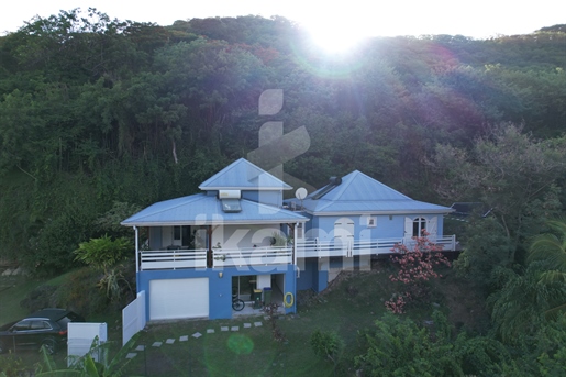 Magnificent villa in Martinique