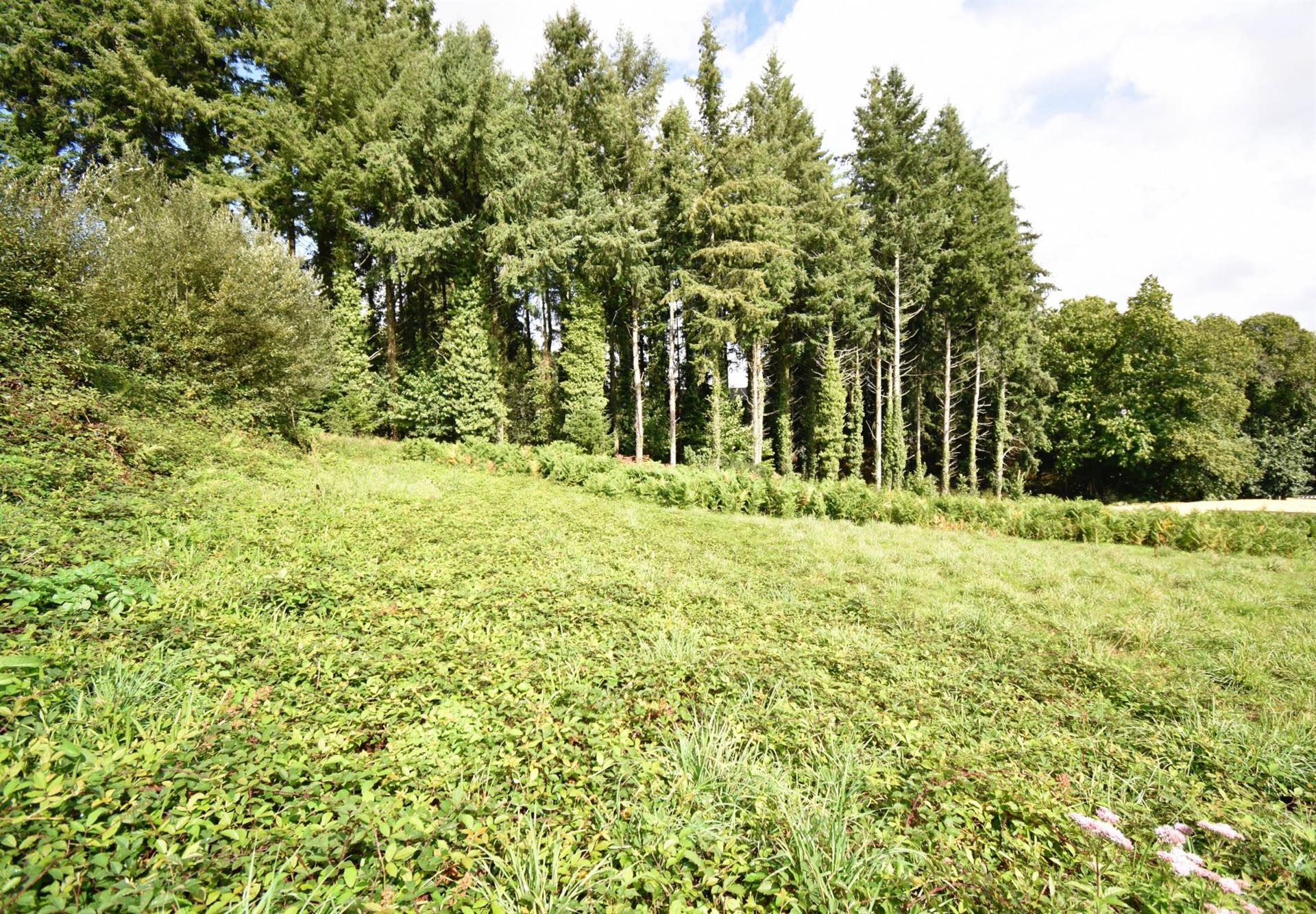 Building land 1000m²