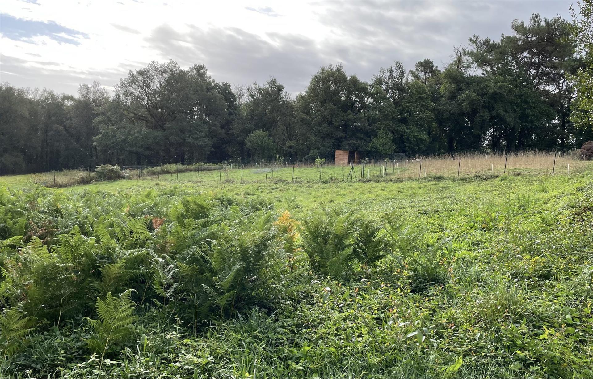 Building land 1000m²