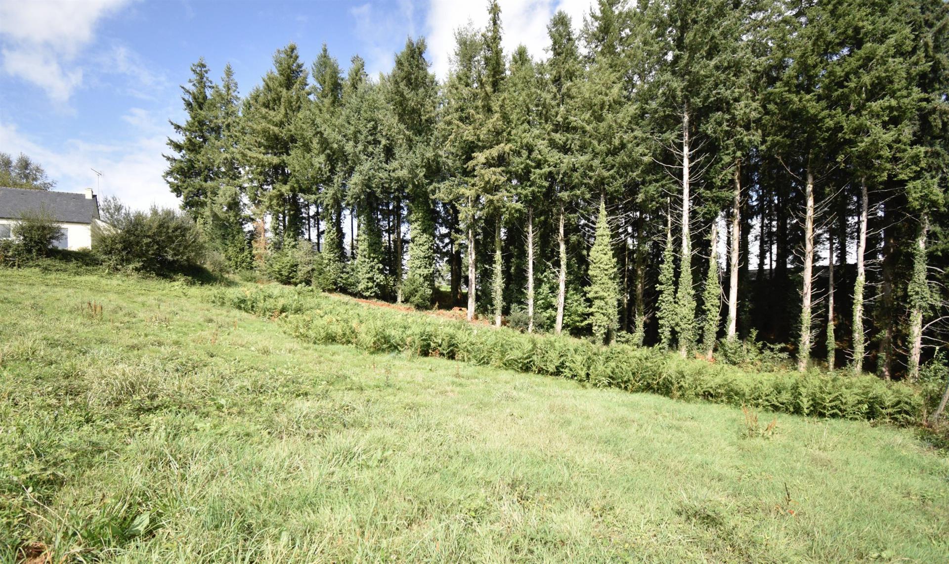 Building land 1000m²