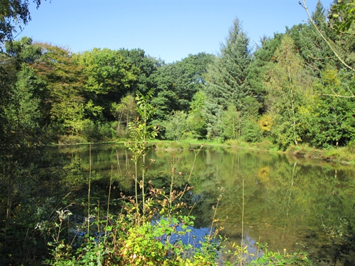 Herrliche Gîte-Anlage im Grünen