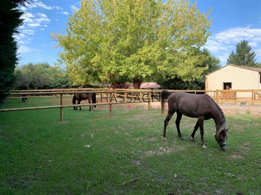 30 minutes from Bergerac and 1 hour from Bordeaux, equestrian property on almost 4 ha, composed of 