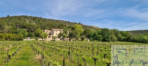 Magnificent Bastide of 730m2 on 8ha of land and vineyards, swimming pool with exceptional view.