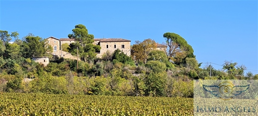 Property from the 11th century on 26ha of land and vineyards.