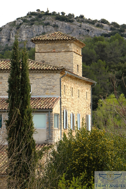 Gard | Rousson | Exceptional farmhouse of 960 m2 on 21 hectares - 10 rented apartments - Olive grove