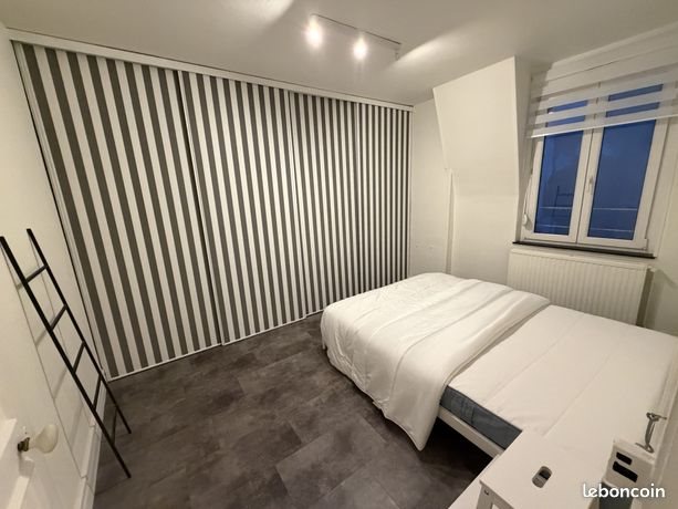 Appartement à louer, 49m², Metz