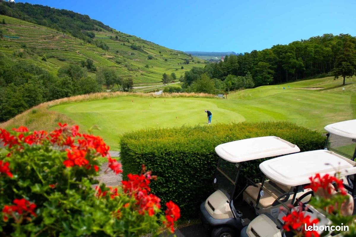 Appartement à vendre, 21m², Ammerschwihr