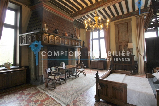 Dpt Eure (27) for sale 19th century castle on a magnificent park of around 27 ha