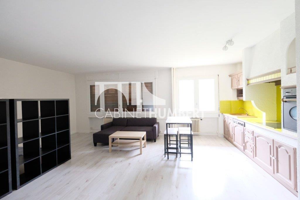 Appartement à louer, 44m², Saint-Etienne