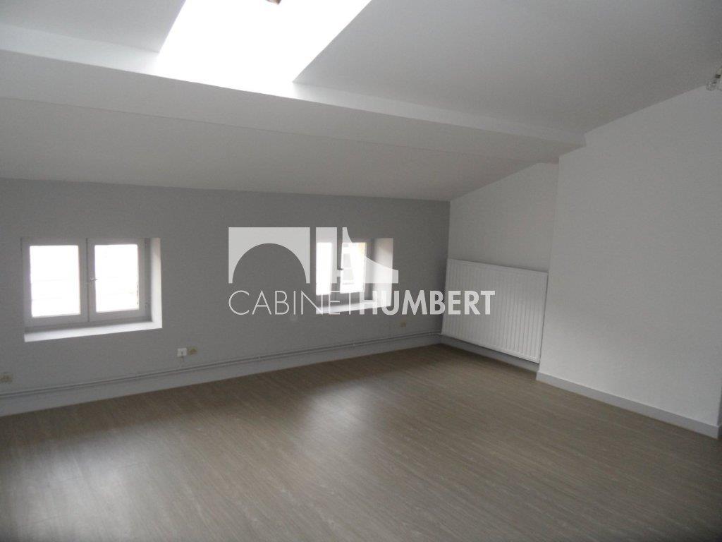 Appartement à louer, 45m², Saint-Etienne