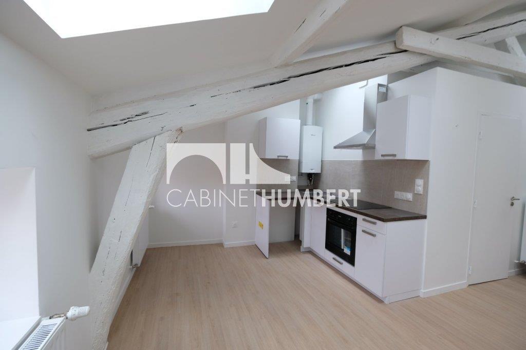 Appartement à louer, 55m², Saint-Etienne