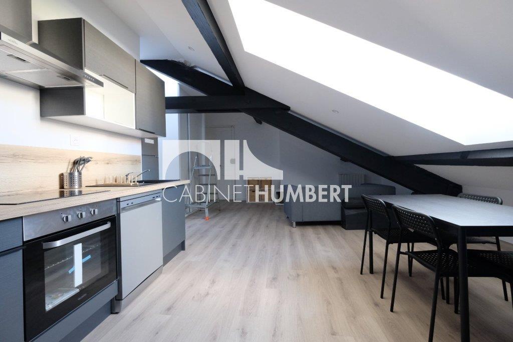 Appartement à louer, 54m², Saint-Etienne
