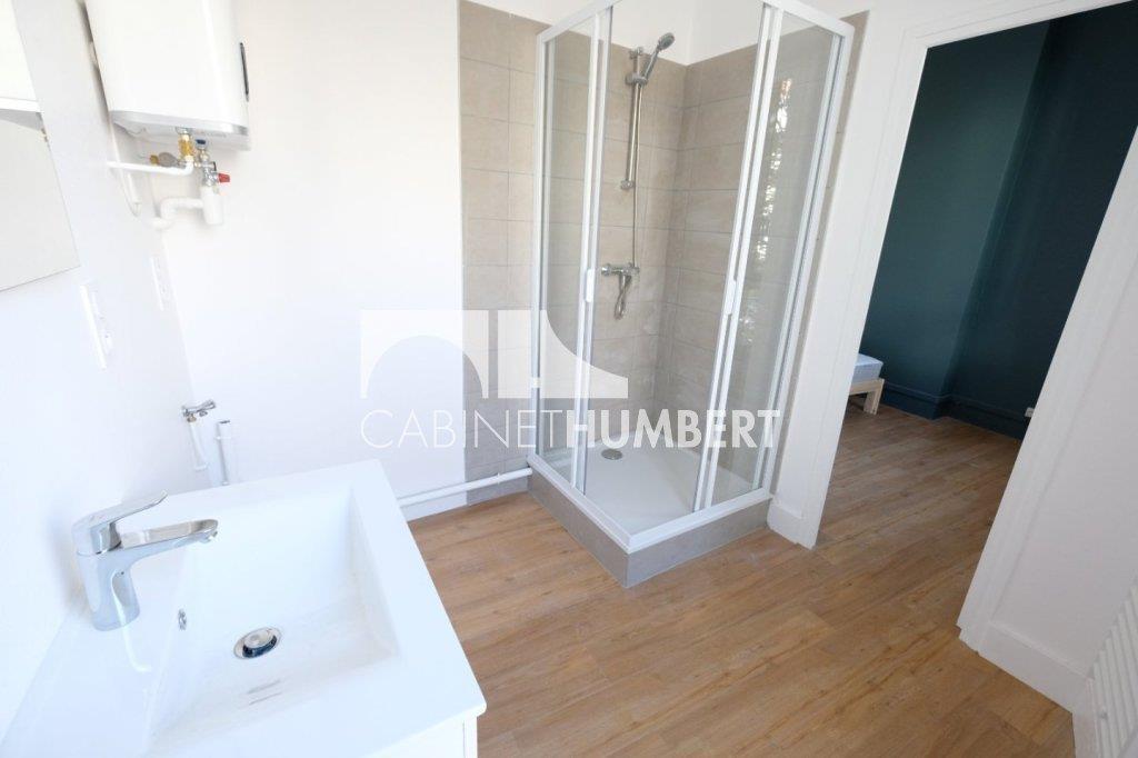 Appartement à louer, 44m², Saint-Etienne