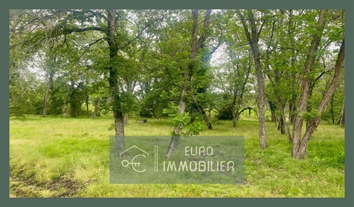 Advert picture