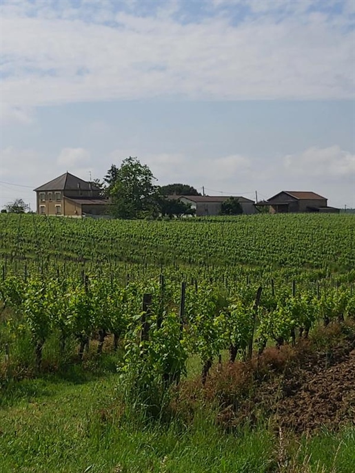 Vignoble avec gîtes et piscine (24)