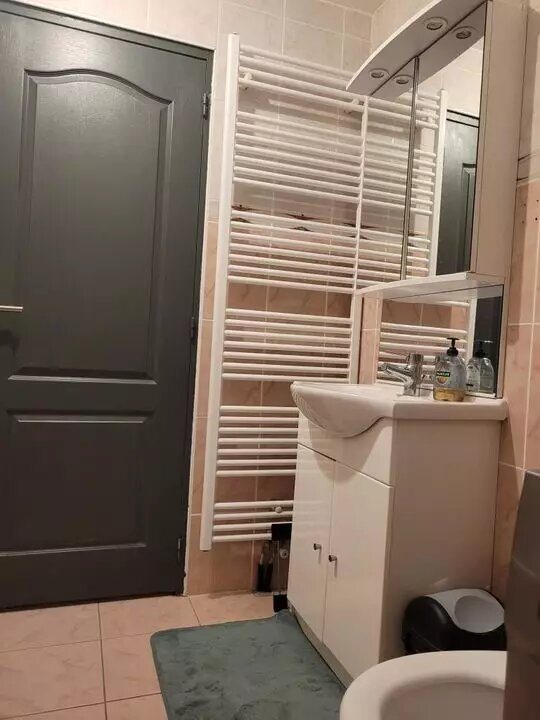 Appartement à louer, 54m², Delle